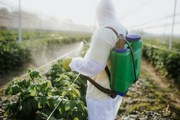 Best Pest Control Treatment  in Gatlinburg, TN